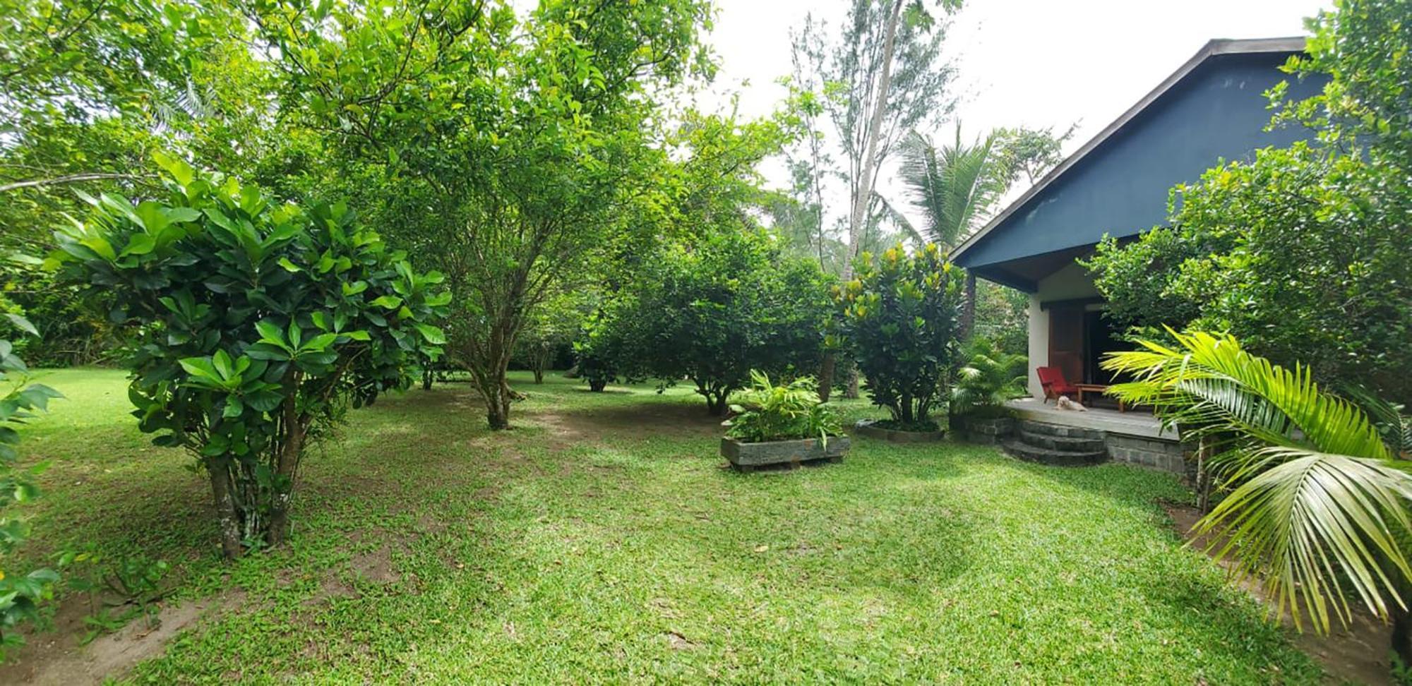 Les Citronniers Bed & Breakfast Ile Sainte-Marie Екстериор снимка
